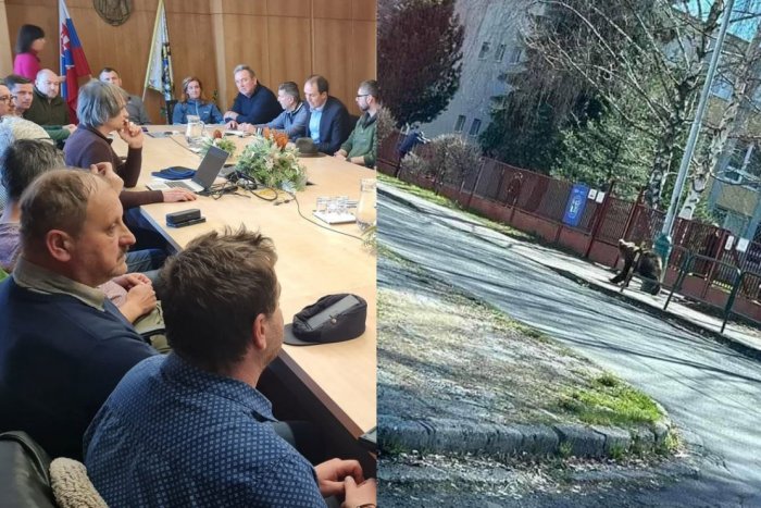 Ilustračný obrázok k článku V Mikuláši zasadal krízový štáb: Medveď napadol PÄŤ ľudí, medzi nimi aj 10-ročné dievča