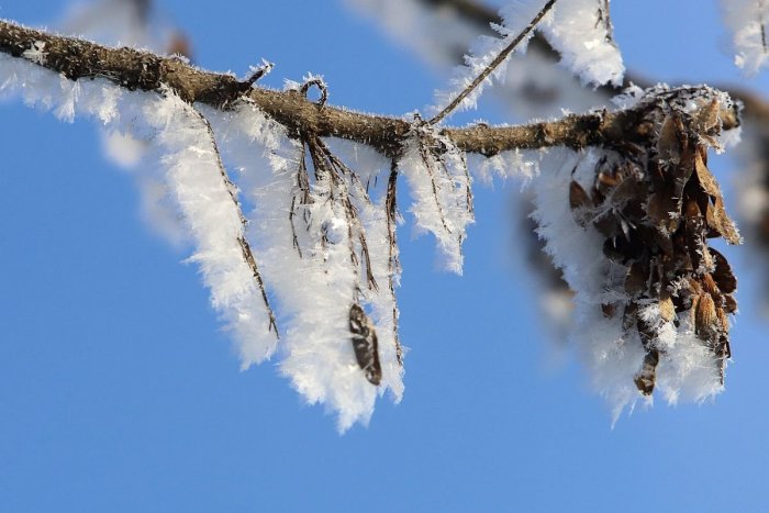 Ilustračný obrázok k článku Slovensko zasiahlo ochladenie a nočné mrazy: DOBRÉ správy! Už o pár dní TO príde