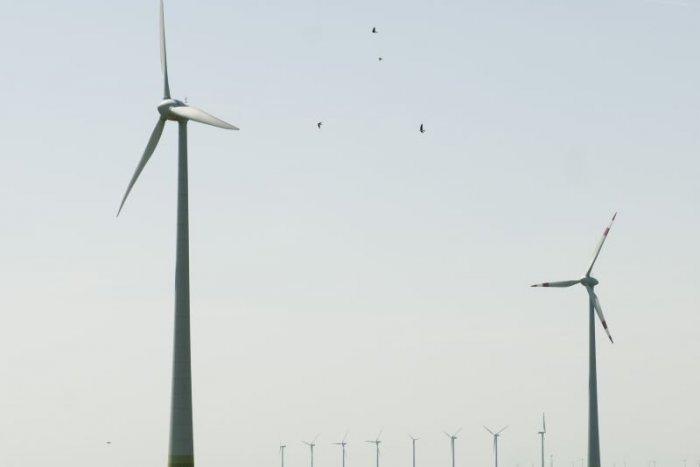 Ilustračný obrázok k článku Vznikne na Záhorí nový VETERNÝ park? Väčšina obyvateľov s výstavbou nesúhlasí