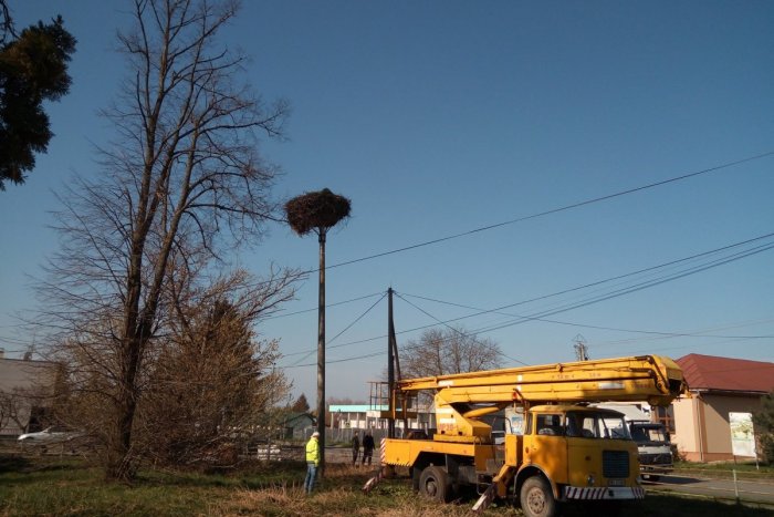 Ilustračný obrázok k článku Vtáci naň použili aj prekvapivý materiál: V obci sa upravovalo 600-kilové bocianie hniezdo
