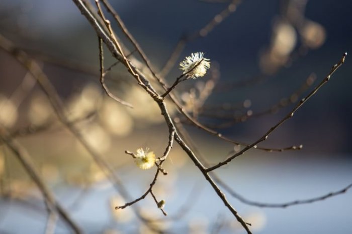 Ilustračný obrázok k článku Čaká nás TEPLOTNÝ ŠOK. Sobota bude jarná, no potom to príde. Bude aj SNEŽIŤ