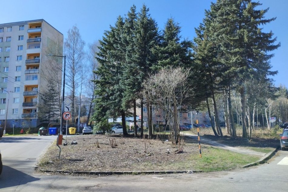 Ilustračný obrázok k článku Veľká REVITALIZÁCIA na známej ulici: Uhynuté dreviny budú ODSTRAŇOVAŤ, FOTO