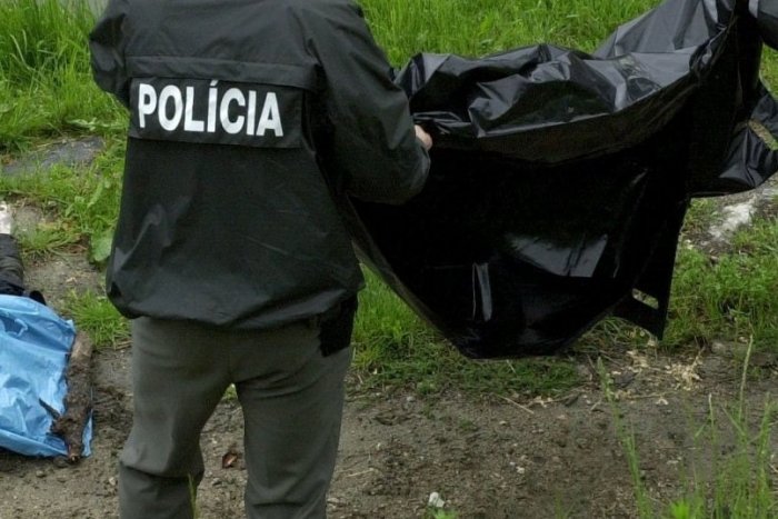 Ilustračný obrázok k článku Víkendová tragédia v rekreačnom stredisku: Muž skolaboval vo vode, oživiť sa ho nepodarilo