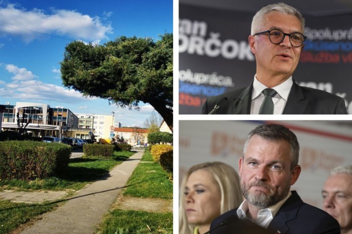 Ilustračný obrázok k článku Nový PREZIDENT bude z Banskobystrického kraja: Komu dali NAJVIAC hlasov Žiarčania?