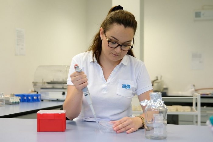 Ilustračný obrázok k článku STOVKY Bratislavčanov si dali skontrolovať vodu zo studní: ČO odhalila analýza?