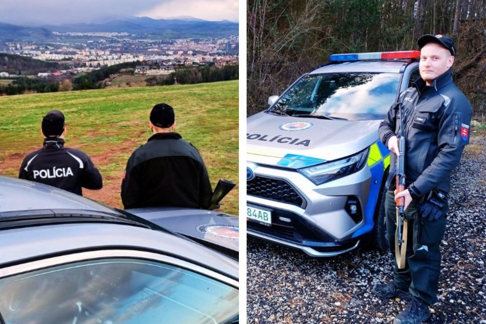 Ilustračný obrázok k článku V Banskobystrickom kraji prijali OPATRENIA: Na MEDVEDE sa pripravili aj policajti, FOTO