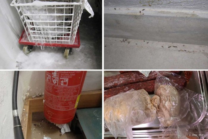 Ilustračný obrázok k článku HNUS, čo objavili kontroly! Potraviny po záruke aj EXKREMENTY hlodavcov, FOTO