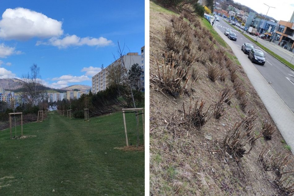 Ilustračný obrázok k článku Obľúbená lokalita v Bystrici prešla REVITALIZÁCIOU: Dočká sa aj ďalších ZELENÝCH zmien, FOTO