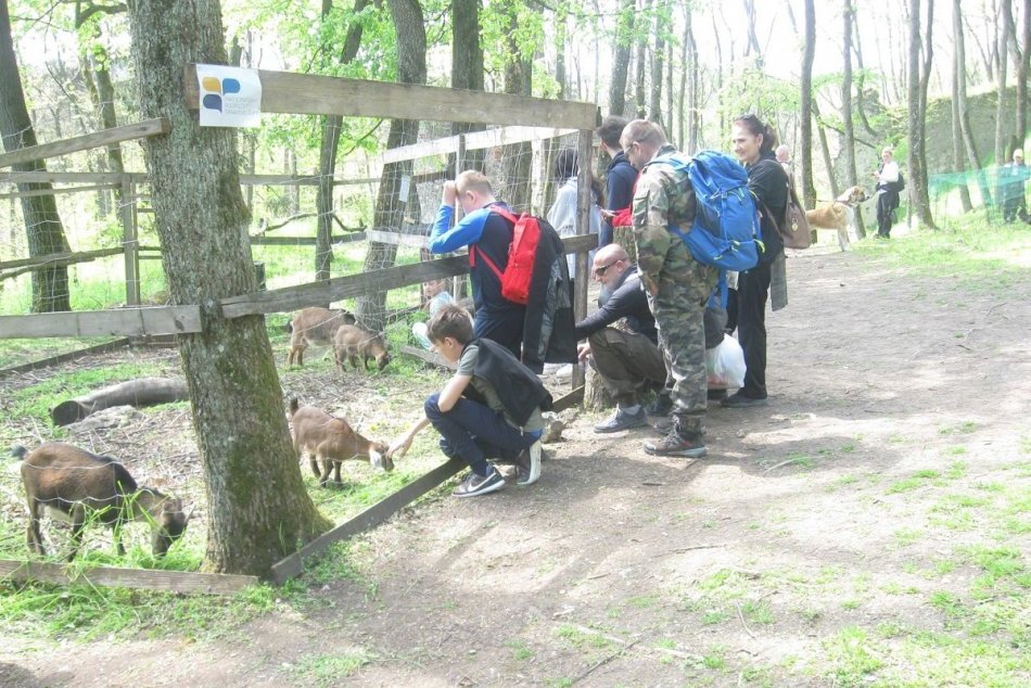 Ilustračný obrázok k článku Novinky na hrade Dobrá Voda: Plánujú rozšírenie ZVERINCA aj nové sedenie