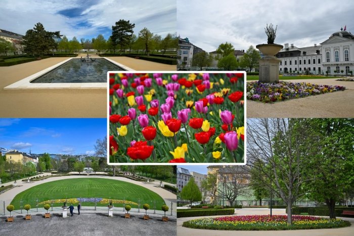 Ilustračný obrázok k článku Príďte si pozrieť obnovenú Grasalkovičovu záhradu: Opäť ju otvorili verejnosti, FOTO