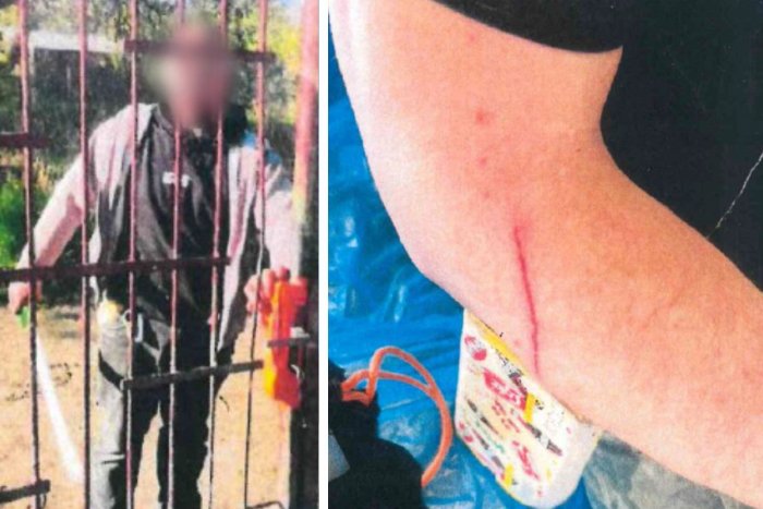 Ilustračný obrázok k článku DRÁMA v záhradkárskej oblasti! Peťo zaútočil na suseda MAČETOU