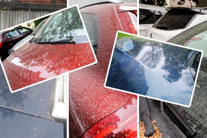 Ilustračný obrázok k článku Slováci, pripravte sa! Už o niekoľko hodín k nám dorazí ĎALŠIA várka prachu zo Sahary