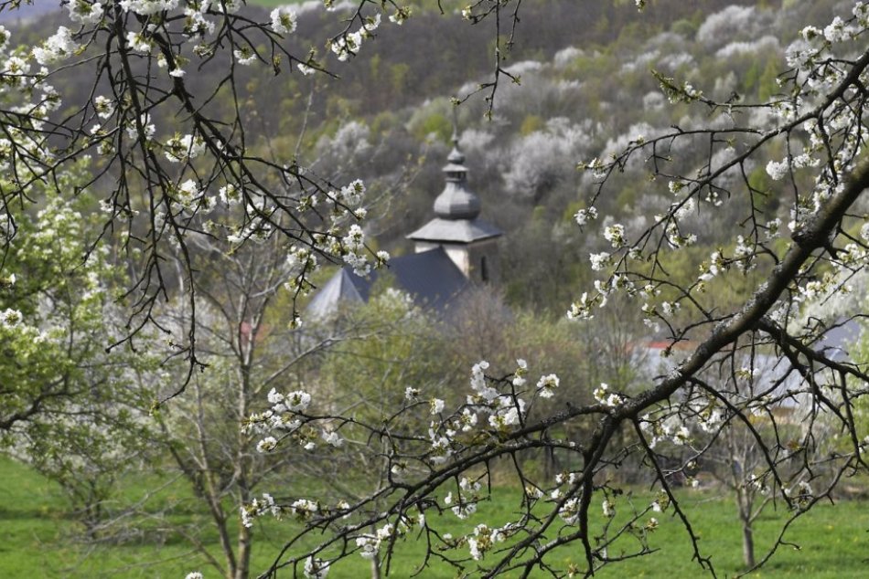 Ilustračný obrázok k článku Je čas, kedy sa do dedinky v Košickom kraji hrnú ľudia z celého Slovenska: Skutočná nádhera!