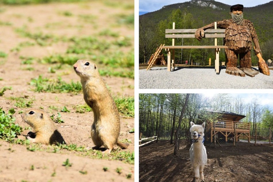 Ilustračný obrázok k článku Na Slovensku otvoria OBROVISKO: Lákadlami budú mýtickí obri aj kontaktná minizoo, FOTO