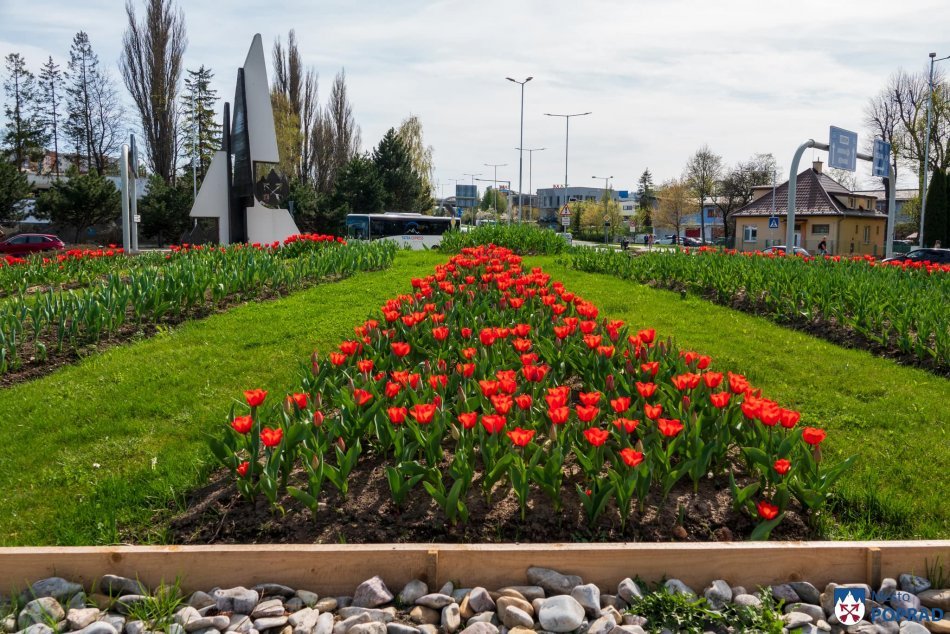 Ilustračný obrázok k článku Prekvapenie pre Popradčanov: Mesto chce vybudovať NOVÝ park, poznáme prvé INFO