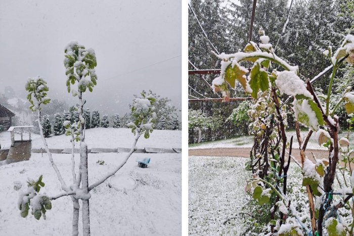 Ilustračný obrázok k článku ŠIALENÁ zmena počasia v Chorvátsku: Teploty klesli za 24 hodín o takmer 30 stupňov!