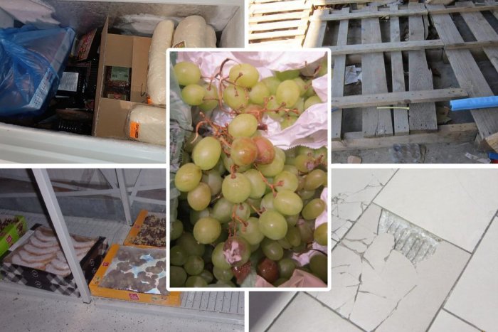 Ilustračný obrázok k článku HNUS, čo odhalili pri kontrolách! Zlá hygiena, potraviny po záruke a HNILOBA