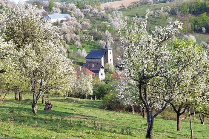 Ilustračný obrázok k článku Miro fotil na východe čerešňový raj: Z miesta ho vyhodil CAP, je z toho parádny záber!