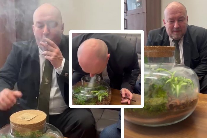 Ilustračný obrázok k článku SNS zverejnila ABSURDNÉ video: Fajčiaci Huliak v parlamente vraj ZACHRAŇUJE rastlinu