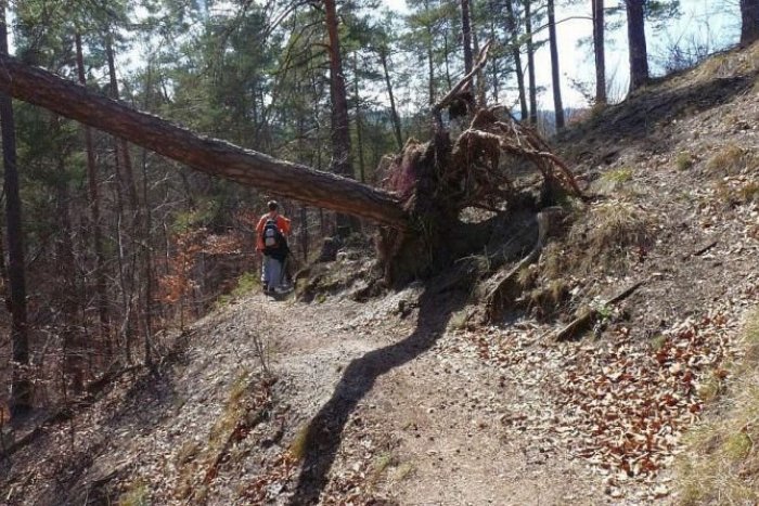 Ilustračný obrázok k článku Prírodný UNIKÁT pri Bystrici opeknie: Chystá sa veľké upratovanie v rámci Dňa Zeme