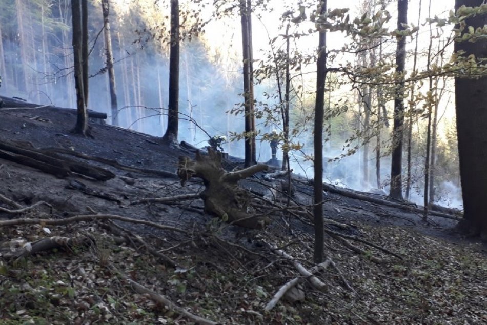Ilustračný obrázok k článku SMUTNÉ zábery z Dobročského pralesa: TAKTO vyzerá po vyčíňaní OHŇA, FOTO