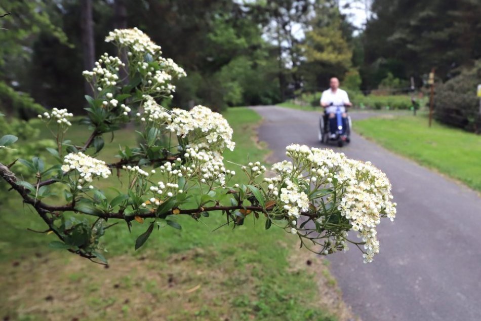 Ilustračný obrázok k článku Obľúbené ARBORÉTUM je opäť prístupnejšie: Otvorilo sa aj pre ľudí s telesným postihnutím, FOTO