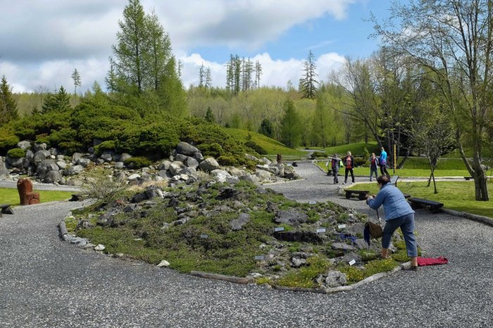 Ilustračný obrázok k článku Botanická záhrada v Tatrách je už otvorená: Akú NOVINKU si pre novú sezónu pripravili?