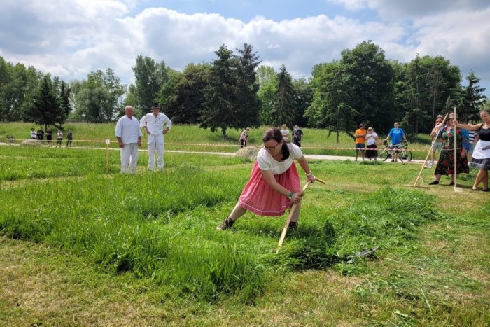 Ilustračný obrázok k článku V Nitre sa zídu nadšenci z celého Slovenska: Súťažiť budú v kosení ručnou kosou