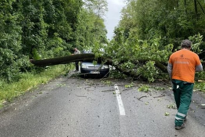 Ilustračný obrázok k článku Na auto spadol mohutný STROM: Zázrak, že sa šoférovi nič nestalo