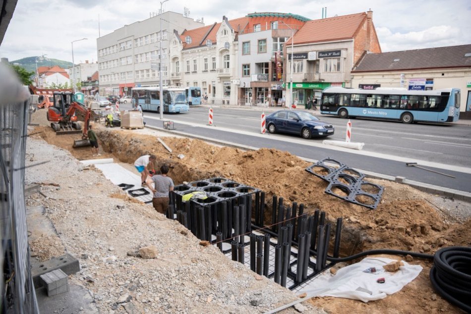 Ilustračný obrázok k článku Pred Priorom vysadia stromy so špeciálnym systémom: Pribudnú aj lavičky a stojany