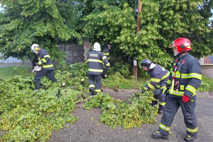 Ilustračný obrázok k článku Búrky v okolí Prešova narobili starosti: Hasiči museli zasahovať kvôli popadaným stromom