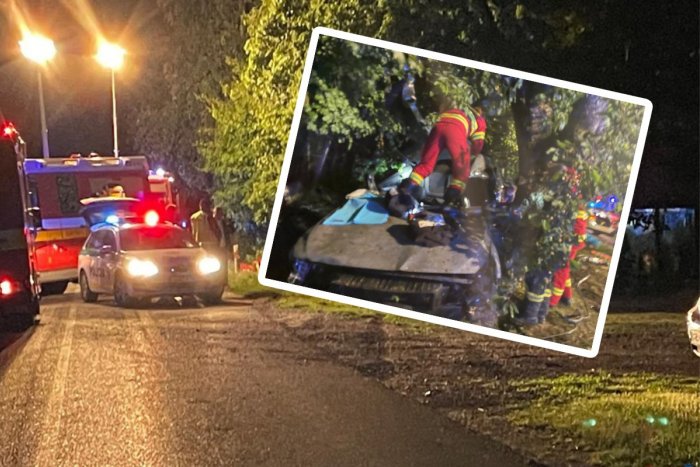 Ilustračný obrázok k článku Mimoriadne TRAGICKÁ nehoda: Náraz do stromu NEPREŽILI traja mladí ľudia