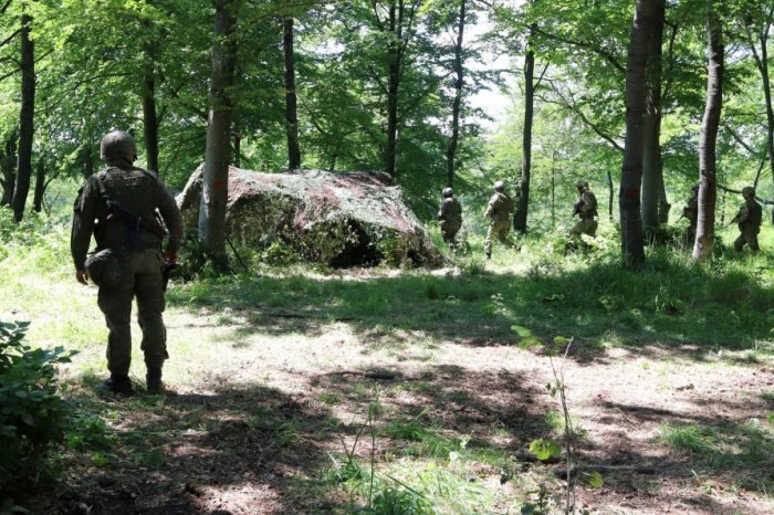 Ilustračný obrázok k článku Ako to bude s povinnou vojenskou službou? Kaliňák s Trubanom sa vzácne zhodli