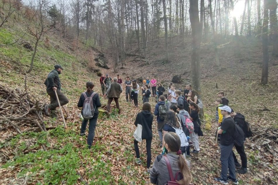 Ilustračný obrázok k článku Bystrickí školáci spoznávajú význam lesa: VYSADILI už stovky stromčekov, FOTO