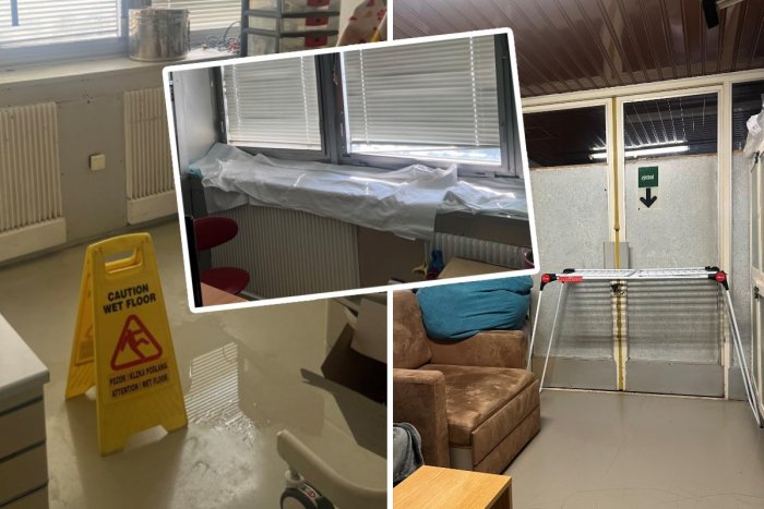 Ilustračný obrázok k článku Holuby a netopiere pri inkubátoroch! Táto krajina klesla na absolútne DNO, reaguje lekár