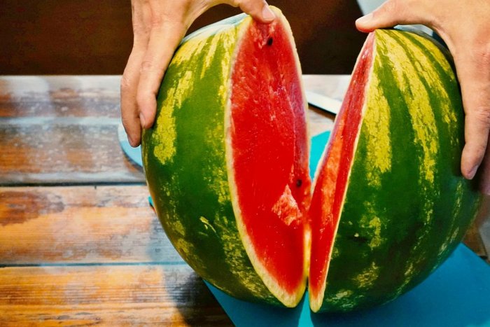 Ilustračný obrázok k článku Ponúkajú vám v stánku pri ceste slovenské melóny? KLAMÚ! Tie naše ešte len rastú