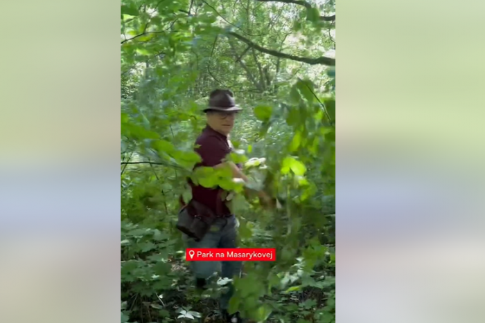 Ilustračný obrázok k článku TAKTO sme primátora Oľhu ešte nikdy nevideli: Vzal do ruky mačetu a razil si cestu! VIDEO