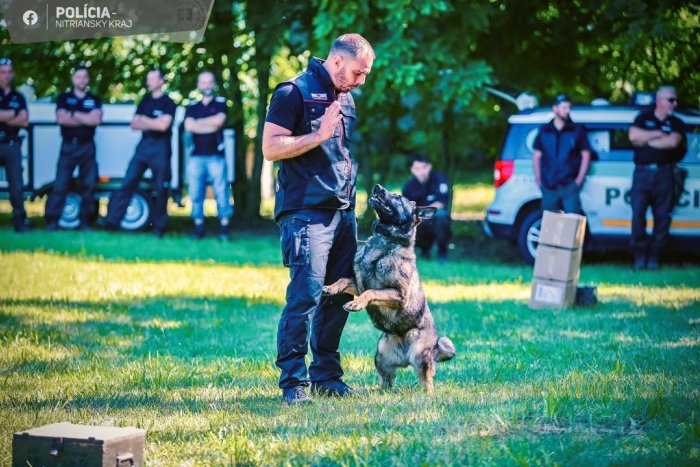 Ilustračný obrázok k článku Leto na DIELOCH. Bude HUDBA aj ukážky práce policajných KYNOLÓGOV
