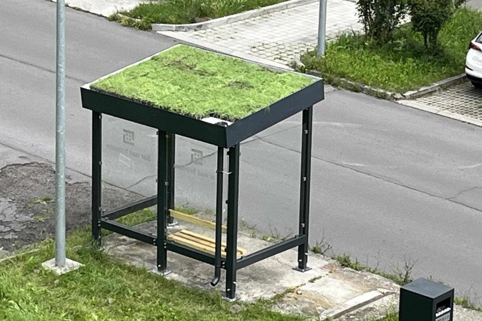 Ilustračný obrázok k článku Stredoslovenské mesto bude ZELENŠIE: Na prístreškoch MHD pribúdajú živé strechy, FOTO