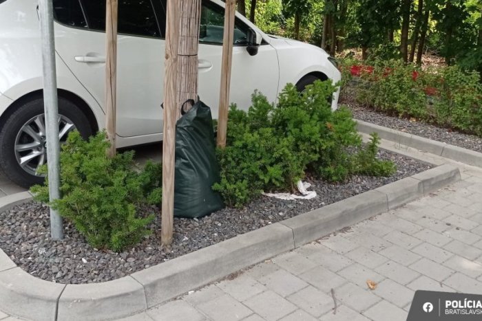 Ilustračný obrázok k článku Seniorky odniesli TISÍCE eur a šperky ku KONTAJNEROM a do kríkov: Naleteli falošnej policajtke