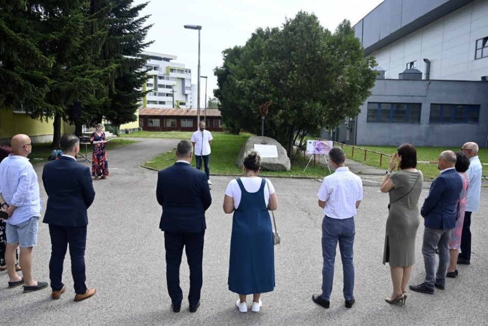 Ilustračný obrázok k článku FOTO: Na Pamätníku olympionikov v Michalovciach pribudlo meno hokejistu Pavla Regendu