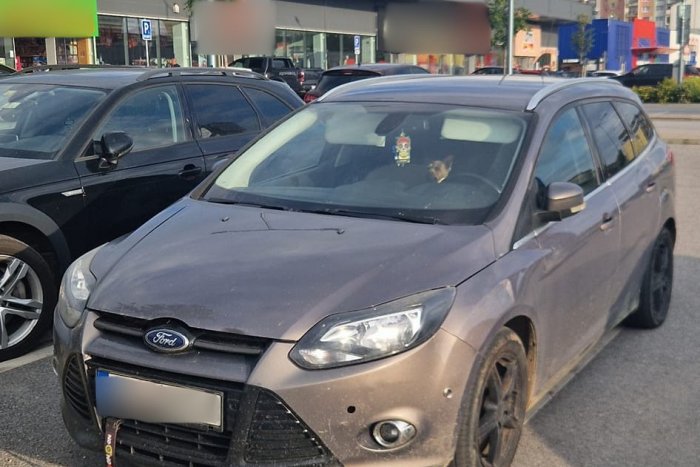 Ilustračný obrázok k článku Okoloidúci videli len bezmocné oči: Kežmarčan nechal v rozpálenom aute bezbranného psíka!