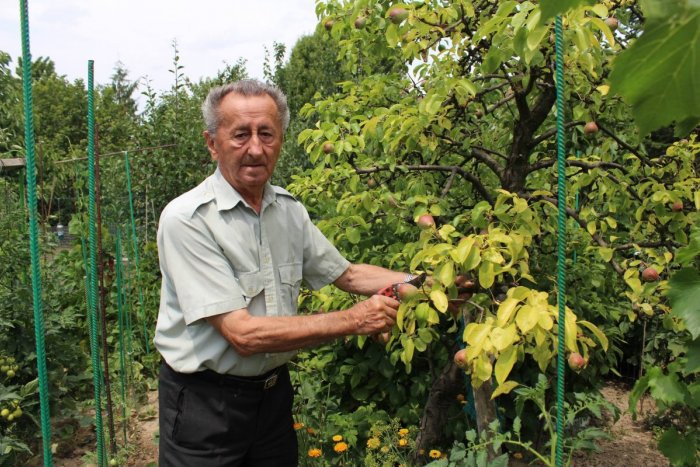 Ilustračný obrázok k článku Slovensko SMÚTI: Zomrel profesor Ivan Hričovský († 92), IDOL všetkých záhradkárov