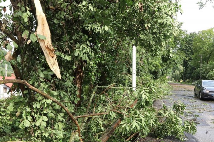 Ilustračný obrázok k článku Búrka v Česku ZABÍJALA, muža usmrtil padajúci konár: To nie je všetko, PANIKA u susedov!