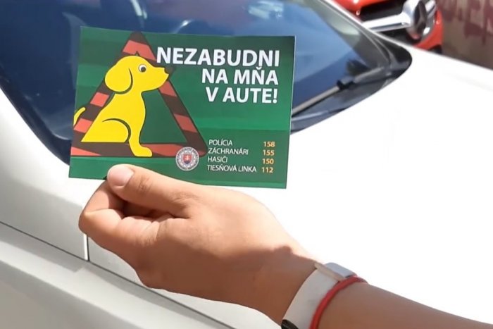 Ilustračný obrázok k článku Majiteľka išla na MANIKÚRU: Psíka nechala štyri HODINY v rozpálenom aute!