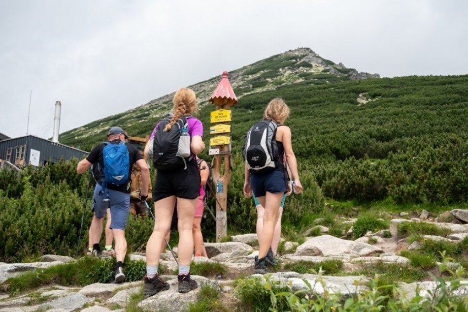 Ilustračný obrázok k článku Je to snáď jediné také miesto v Tatrách: TADIAĽ sa dá bezpečne prejsť okolo medveďa, FOTO