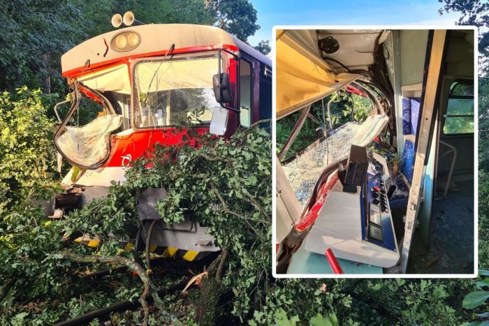 Ilustračný obrázok k článku HOROR počas búrky: Na vlak sa ZRÚTIL strom! Rušňovodič je zranený, FOTO