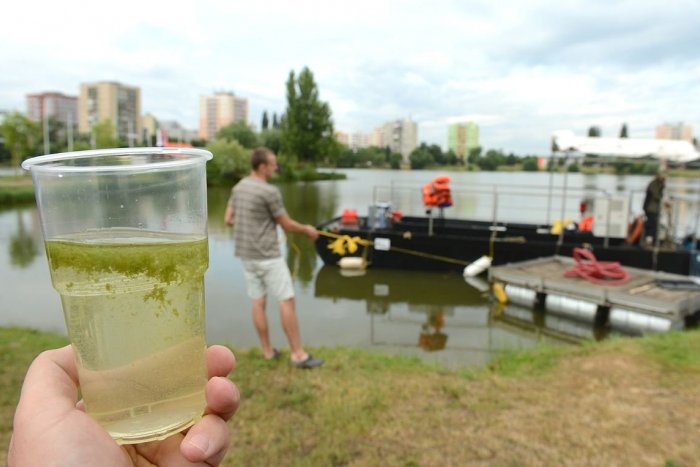 Ilustračný obrázok k článku Kúpanie v jazere sa môže zmeniť na HOROR! Stačí HLT vody a... TOTO zažiť nechcete!