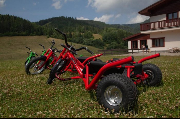 Ilustračný obrázok k článku Vo Vernári majú atraktívnu NOVINKU: Odteraz sa tam dá vyblázniť na TOMTO fáre