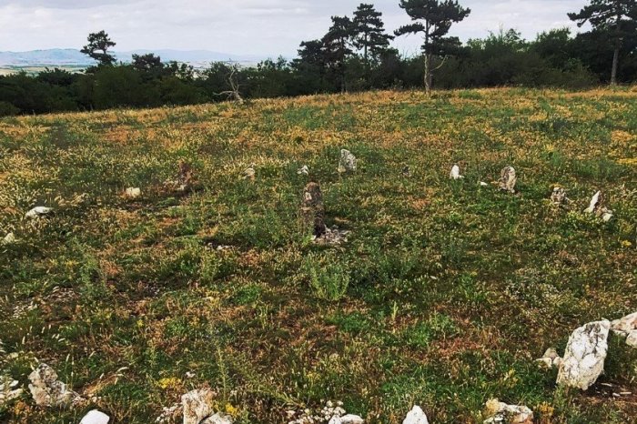 Ilustračný obrázok k článku Poďte POZOROVAŤ nočnú oblohu: Na MAGICKÉ miesto